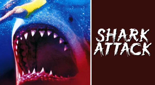 Shark Attack