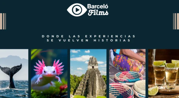Barcelo Films