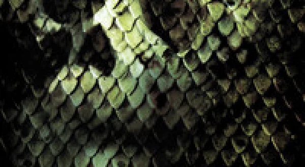 Anacondas: The Hunt for the Blood Orchid