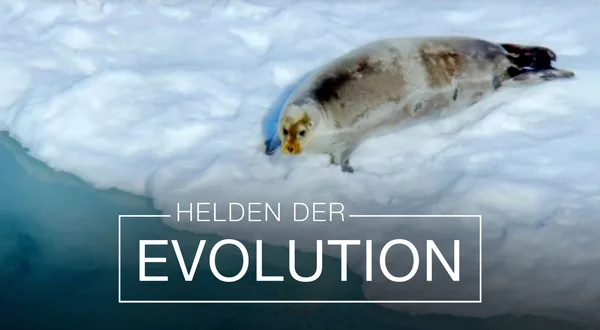 Helden der Evolution