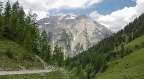 Die Alpenranger - Auf Patrouille im Paradies
