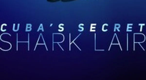 Cuba's Secret Shark Lair