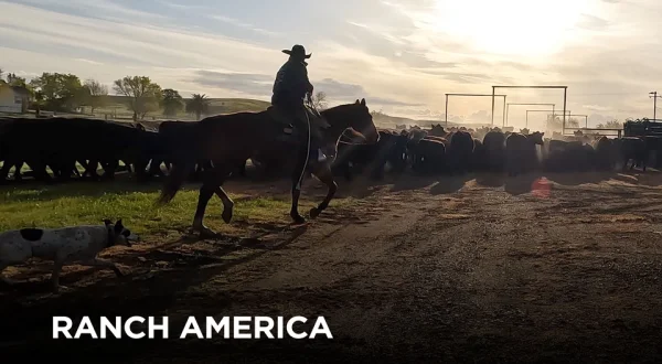 Ranch America