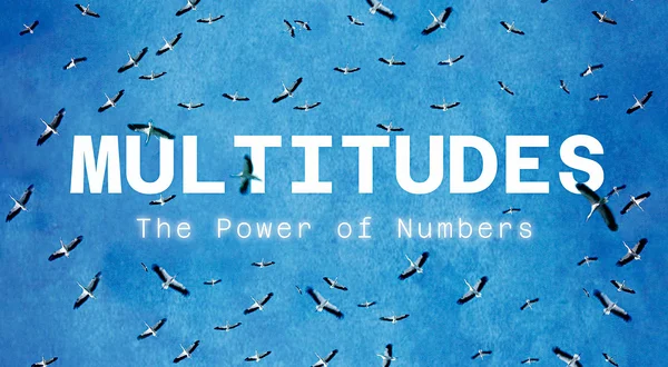 Multitudes: The Power of Numbers
