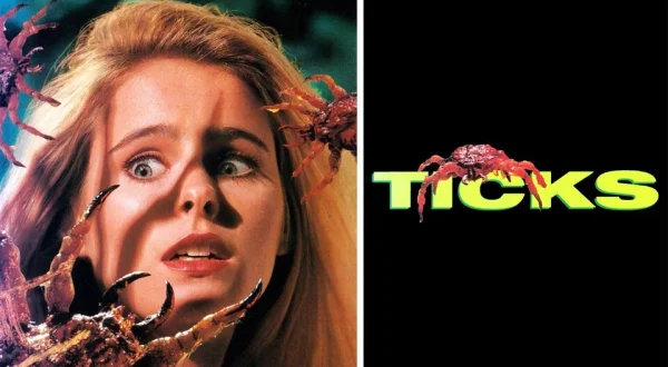 Ticks