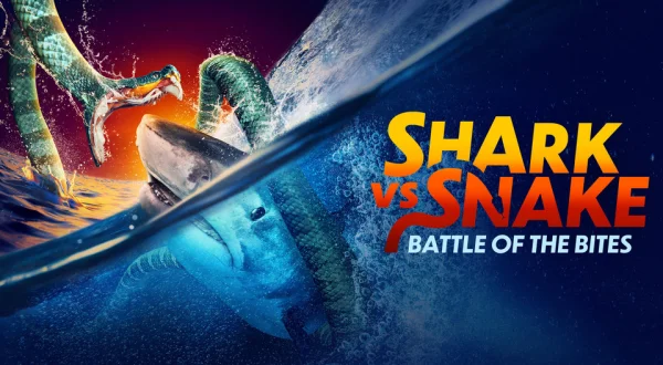 Shark vs Snake: Battle of the Bites