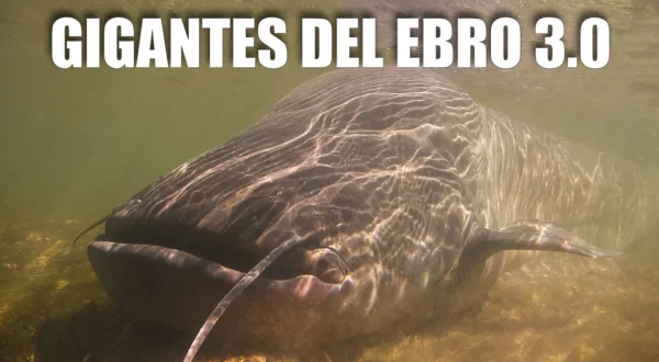 Gigantes Del Ebro 3.0
