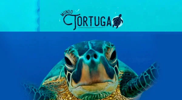 Mundo tortuga