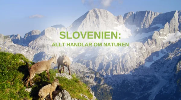 Slovenias natur