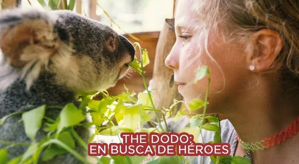 The Dodo: en busca de héroes