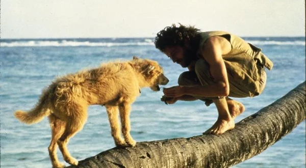 Crusoe