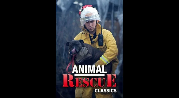 Animal Rescue Classics