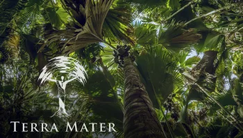Terra Mater