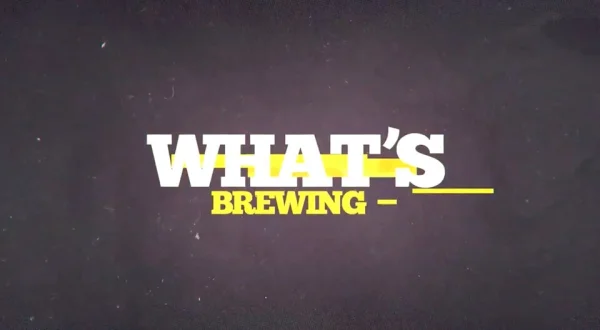 What's Brewing