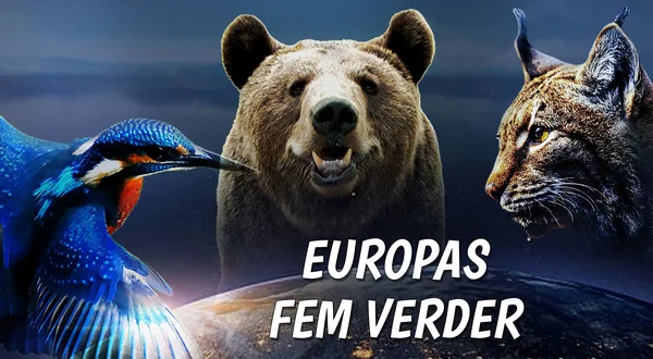 Europas fem verder