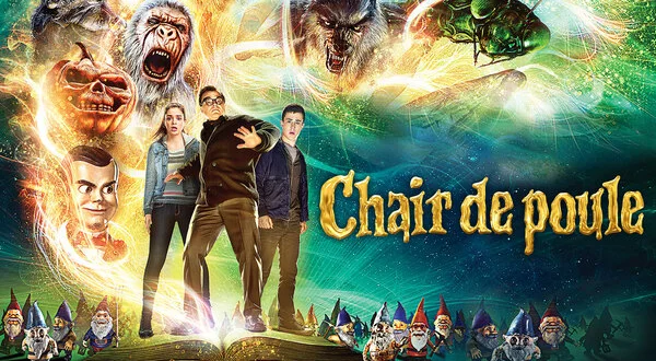 Chair de poule