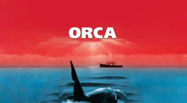 Orca