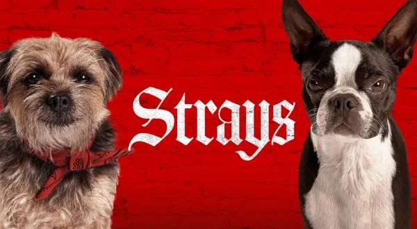 Strays
