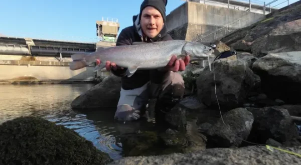 Huchensuche im Februar - 12 Monate Topwater Challenge