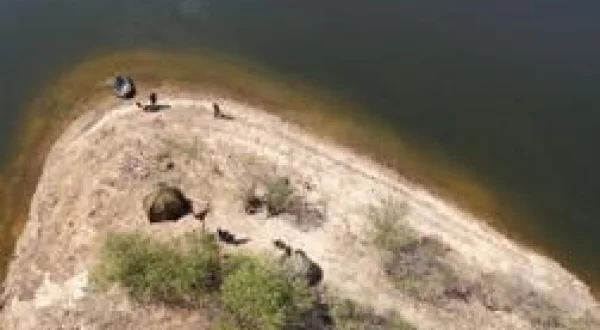 Le spot aux grosses carpes