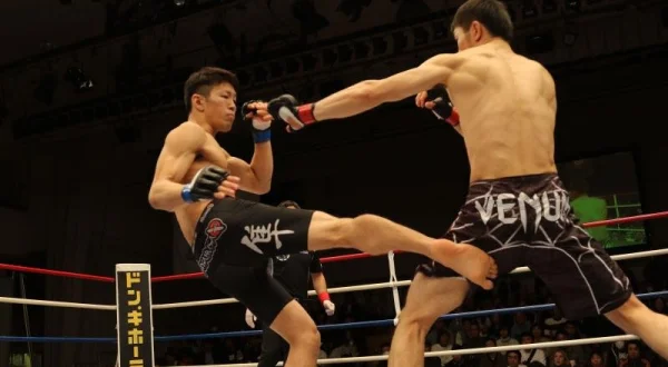 MMA portrék