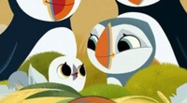 Puffin Rock