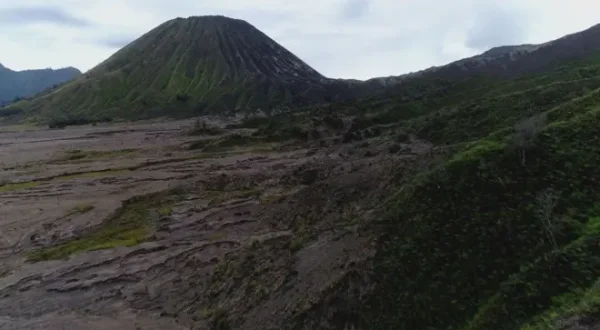 Focus natura: Un mondo perfetto