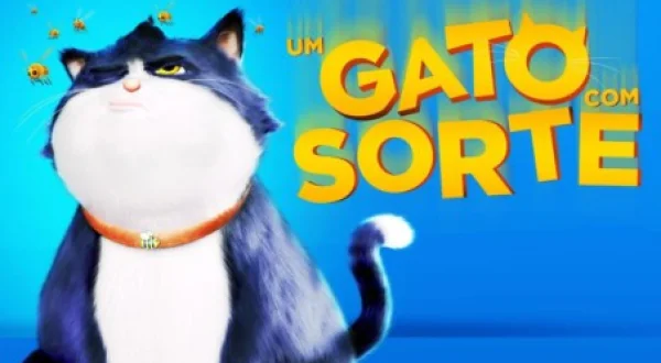 Um Gato Com Sorte