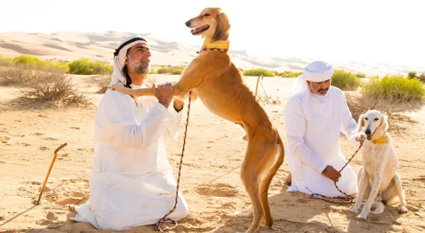 Der Hund – Des Menschen bester Freund