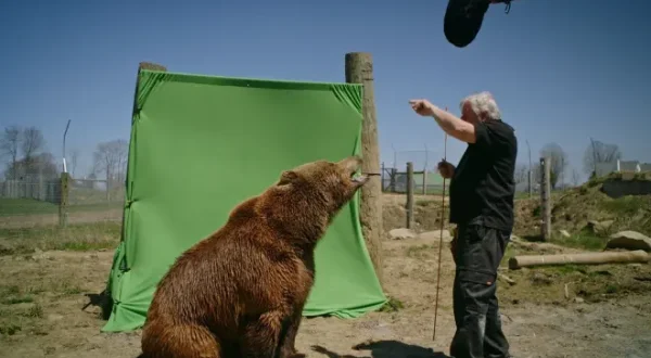 Bêtes de film