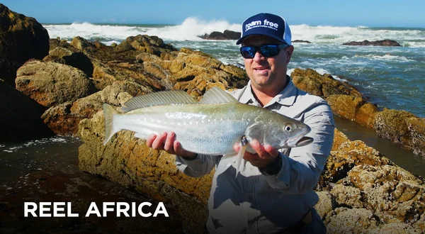 Reel Africa