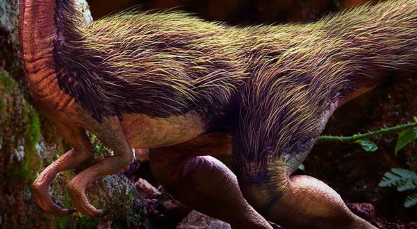 History Of Life On Earth