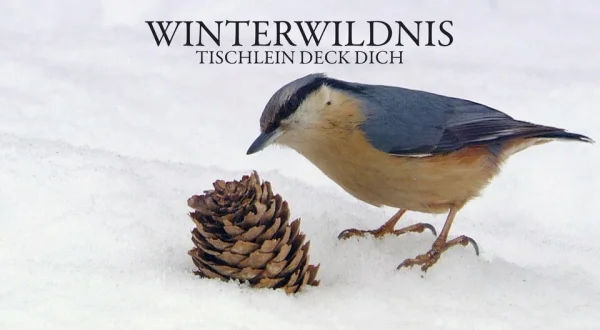 Winterwildnis - Tischlein Deck Dich