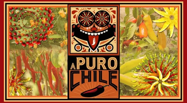 A puro chile