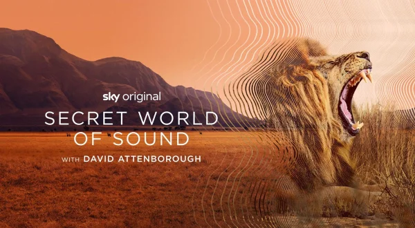Lydenes hemmelige verden med David Attenborough