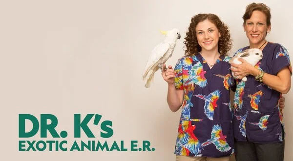 Dr. K's Exotic Animal ER