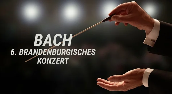 Bach - 6. Brandenburgisches Konzert