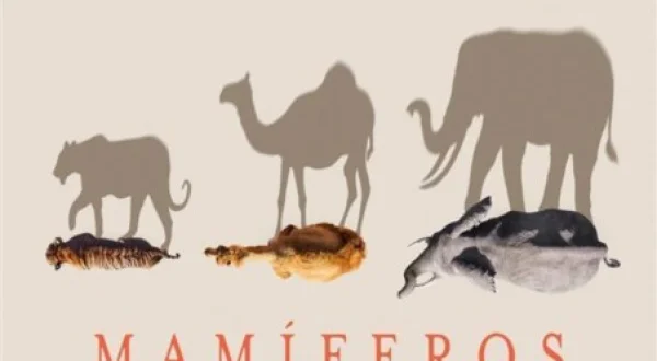 Mamíferos