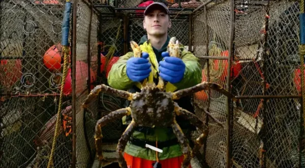Deadliest Catch