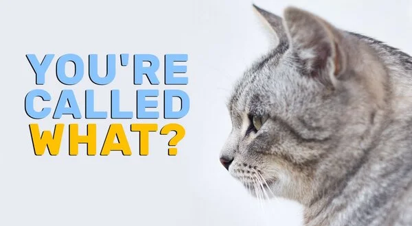 You're Called What?
