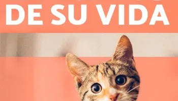 Etapas de la vida