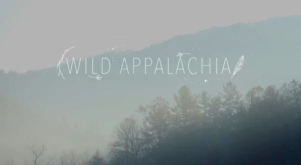Wild Appalachia