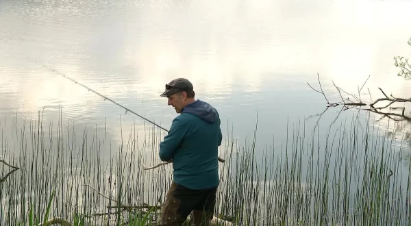 Helt i fisk - Plastik og gedder