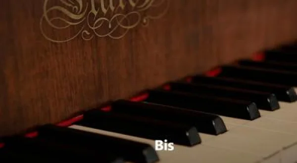 Bis - Konser