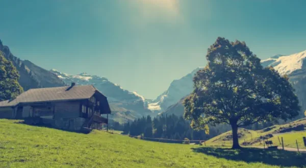 Herz & Heimat