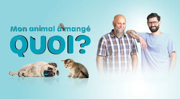 Mon animal a mangé quoi?