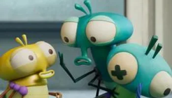 Bienvenue chez les Mouche