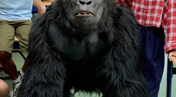 AAP