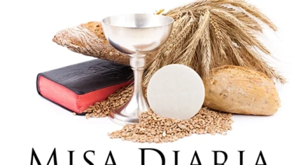 Misa diaria
