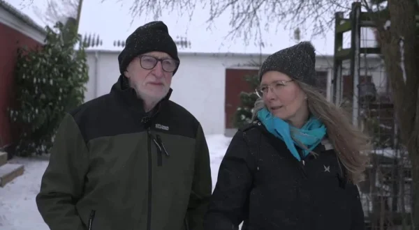 Ramt af bølgen - Hestepensionen